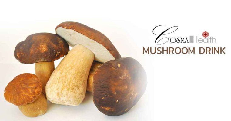 น้ำเห็ด 9 สายพันธุ์