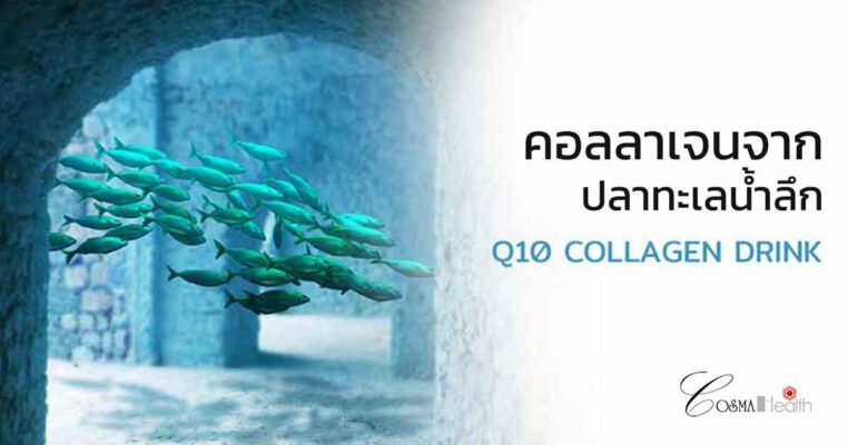 Q10 คอลลาเจน