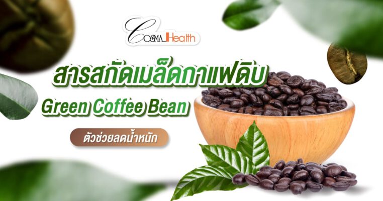 สารสกัด เมล็ดกาแฟดิบ