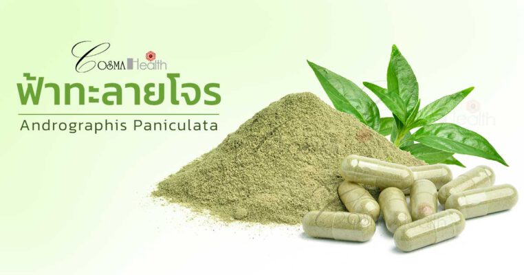 ฟ้าทะลายโจร