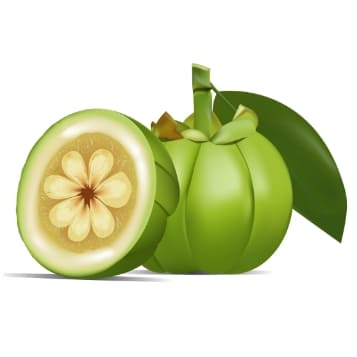 สารสกัดส้มแขก