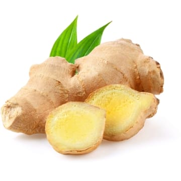 สารสกัด ขิง ผง