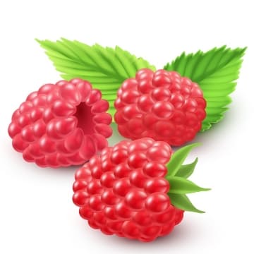 สารสกัด ราสเบอร์รี่