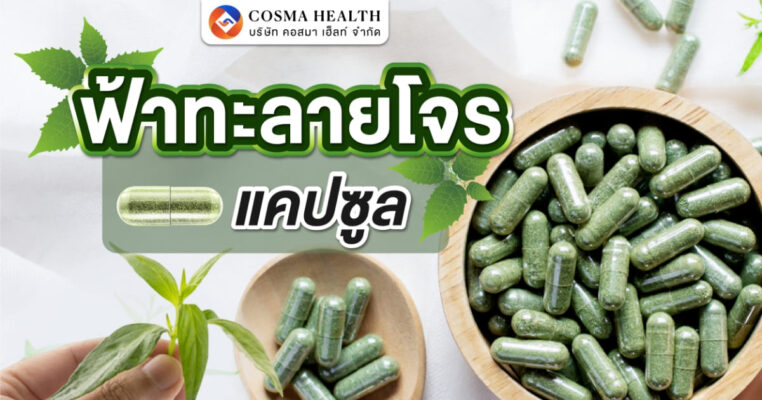 ฟ้าทะลายโจร