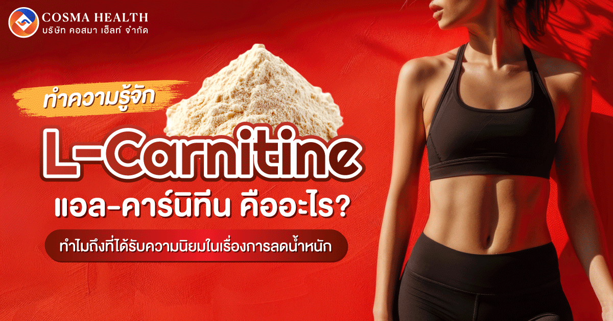 แอลคาร์นิทีน (L-Carnitine)